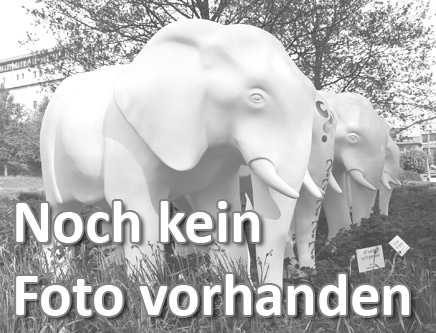 Datei:Elefant kein Foto.jpg