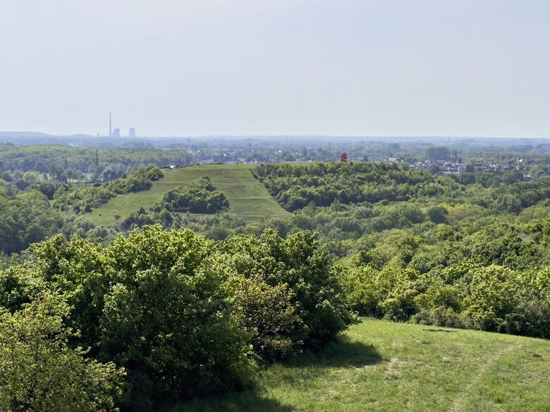 Totale der Halde Humbert, Blick von der Kissinger Höhe
