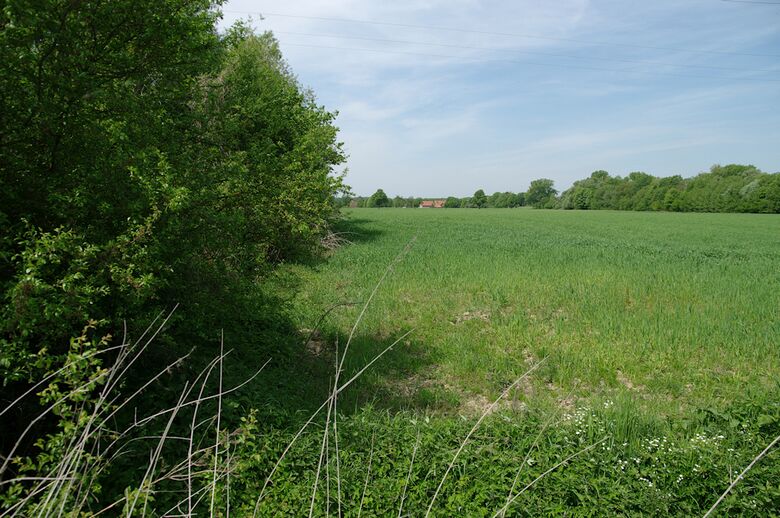 Straße-RH171 von der Straße-RH168 aus