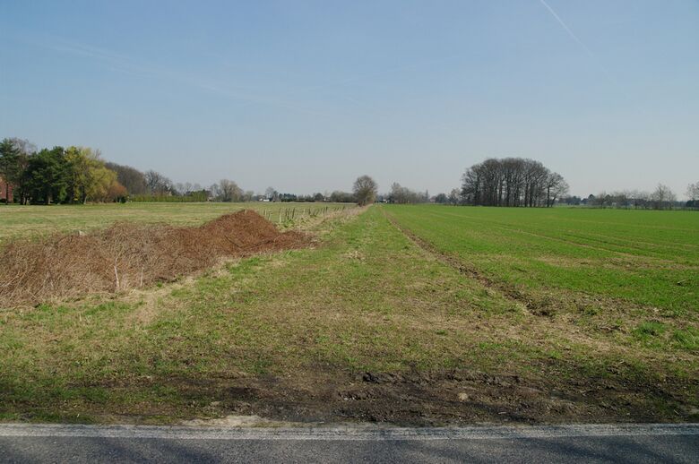 Straße-RH09 von der Gobel-von-Drechen-Straße aus