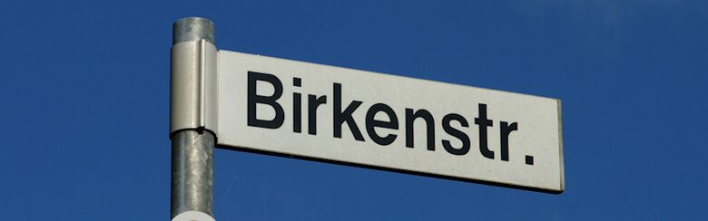 Straßenschild Birkenstraße