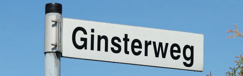 Straßenschild Ginsterweg