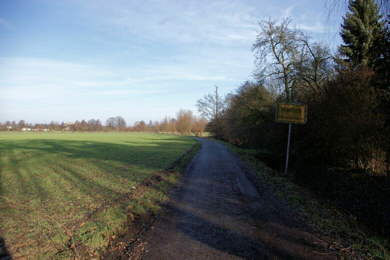 Zu den Pappeln von der Provinzialstraße aus