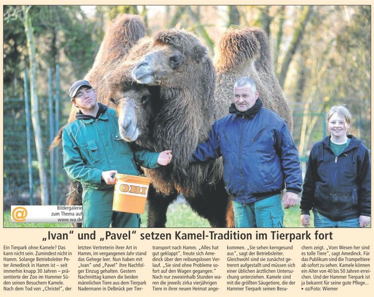 Datei:20120111 WA Tierpark.jpg