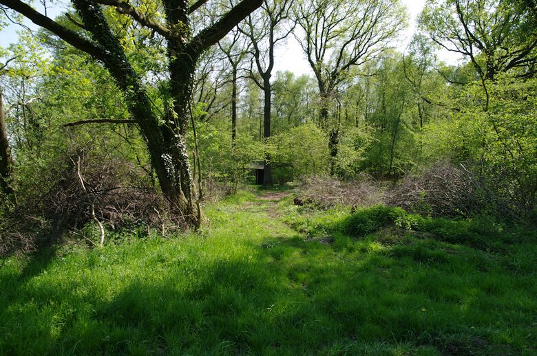 Straße-UE84 von An der Lehmkuhle aus