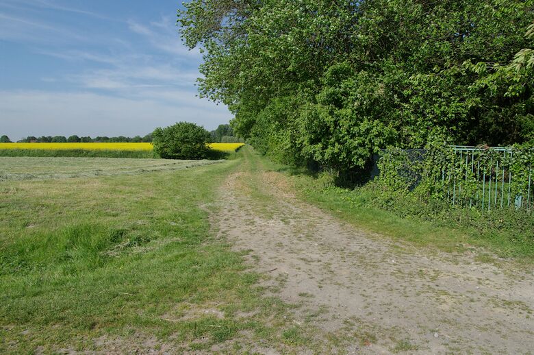 Straße-RH13 vom Westerburgweg aus