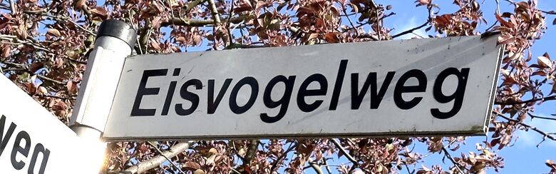 Straßenschild Eisvogelweg