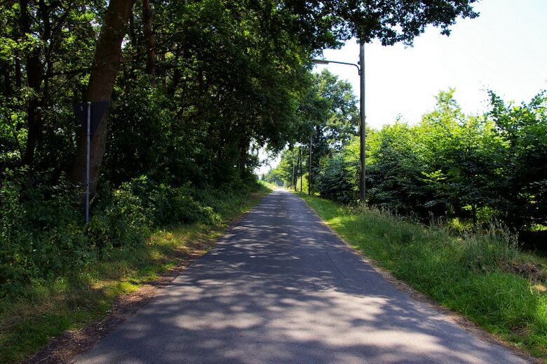 In der Dördel von der Sandbochumer Straße aus