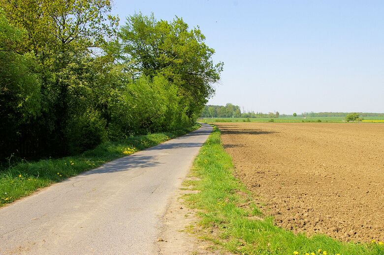 Im Großen Klei Ecke Obere Rothe Richtung Baumstraße