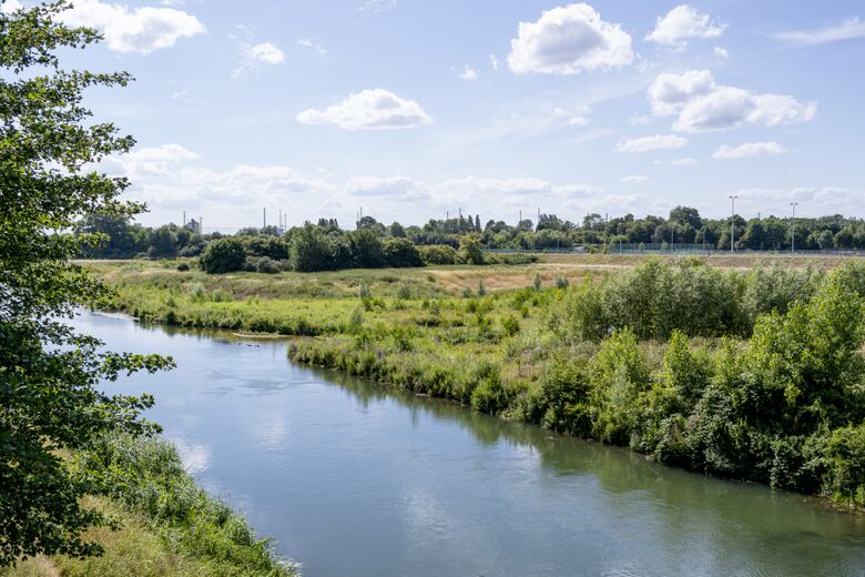 Flutmulden (bewachsen)