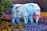 Elefant 2009 14.jpg