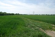 Strasse RH172 01.jpg