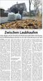 Westfälischer Anzeiger, 11. November 2010