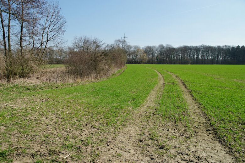 Straße-UE38 von Im Westenholz aus