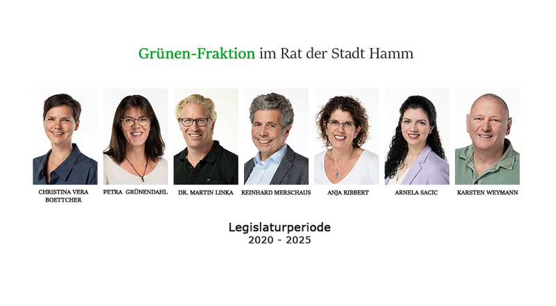 Datei:Grünen-Fraktion 2020-2025 Neu 2020-2025.png