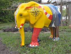 Elefant 2009 4.jpg