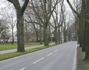 Faehrstrasse.jpg
