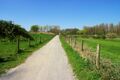 Nienbrügger Weg entlang des Radbodsee Richtung Lippehof