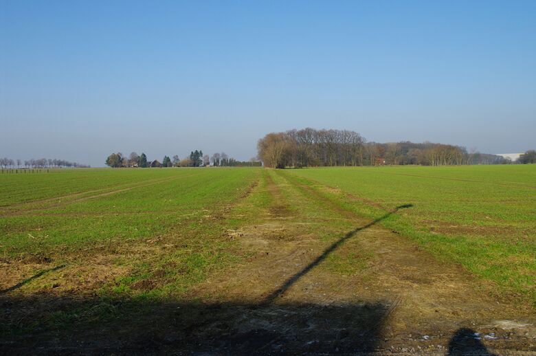 Straße-RH18 von der Opsener Straße aus