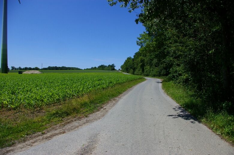 Roggenberg Ecke Krutmerfeld Richtung Drensteinfurt