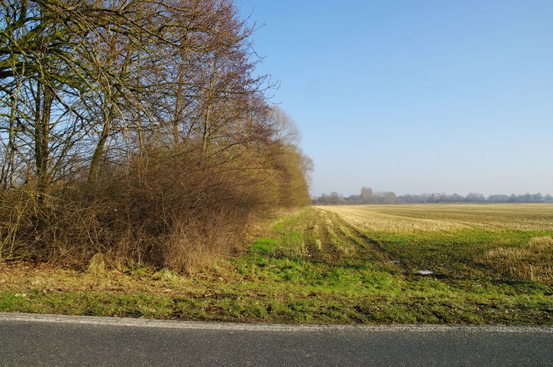 Straße-RH05 von der Gobel-von-Drechen-Straße aus