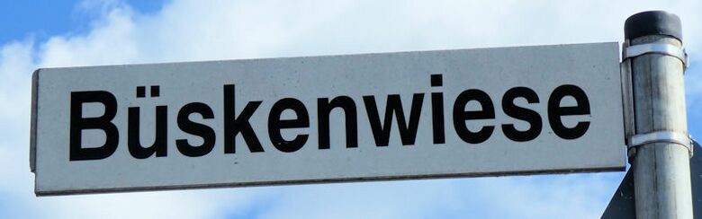 Straßenschild Büskenwiese