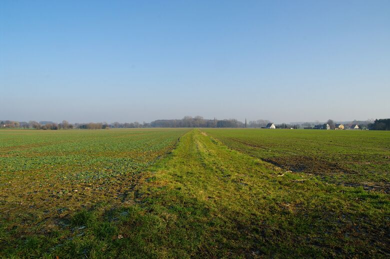 Straße-RH19 vom Kuhlbachweg aus