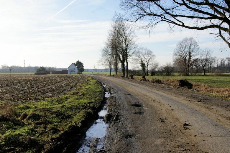 In der Niedervöhde vom Osterbönener Weg aus