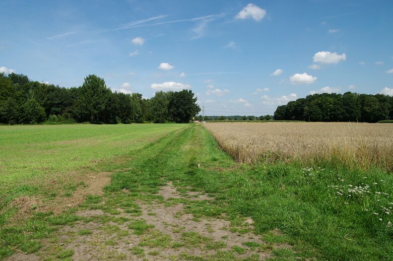 Straße-UE99 von der Straße-UE96 aus