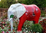 Elefant 2009 8.jpg
