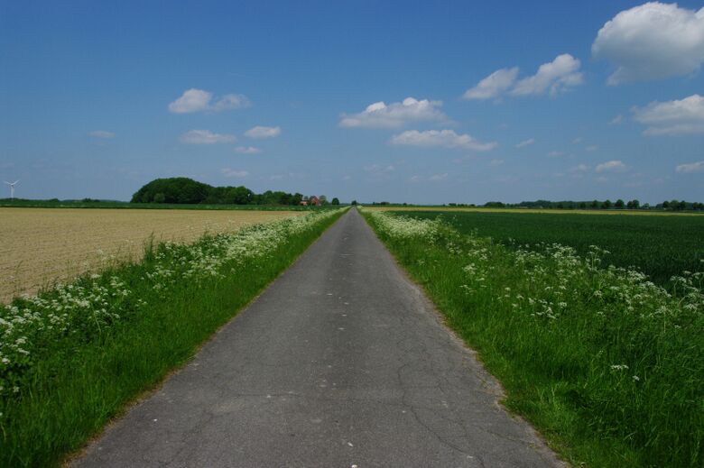 Westerburgweg von der Opsener Straße aus